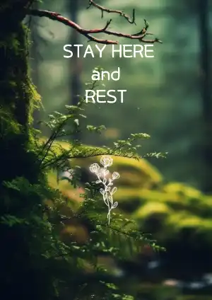 포스터 : stay here