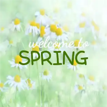 welcome to spring