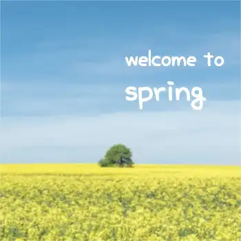 welcome to spring