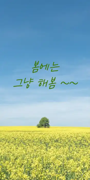 봄 배경 메세지