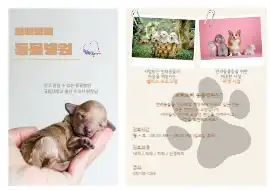 동물병원 홍보